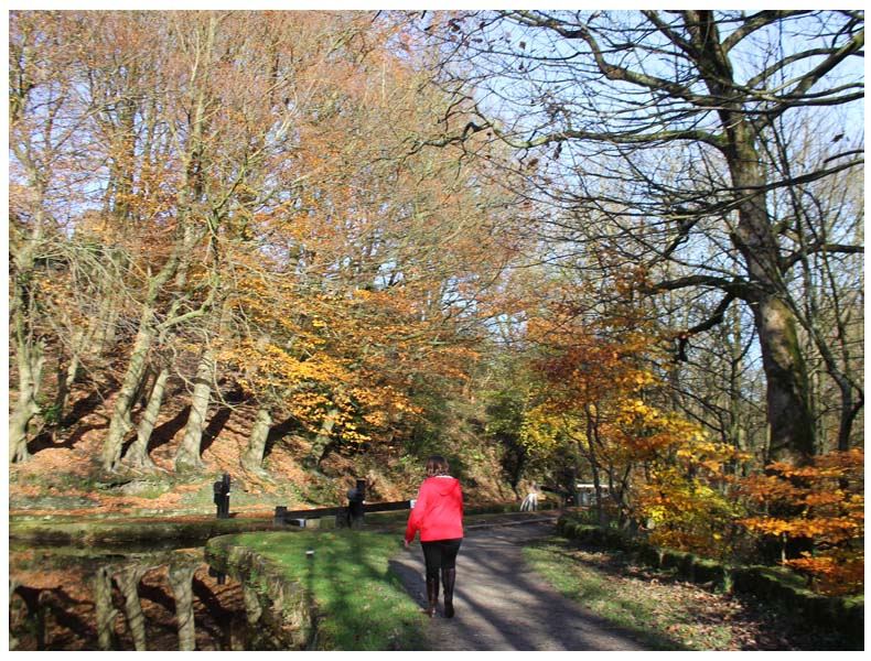 Exploring the Colne Valley with Northern