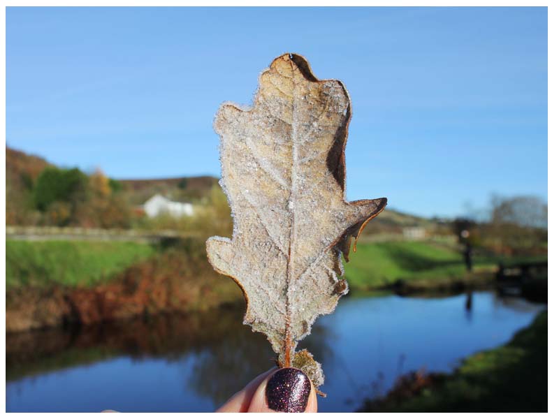 Exploring the Colne Valley with Northern