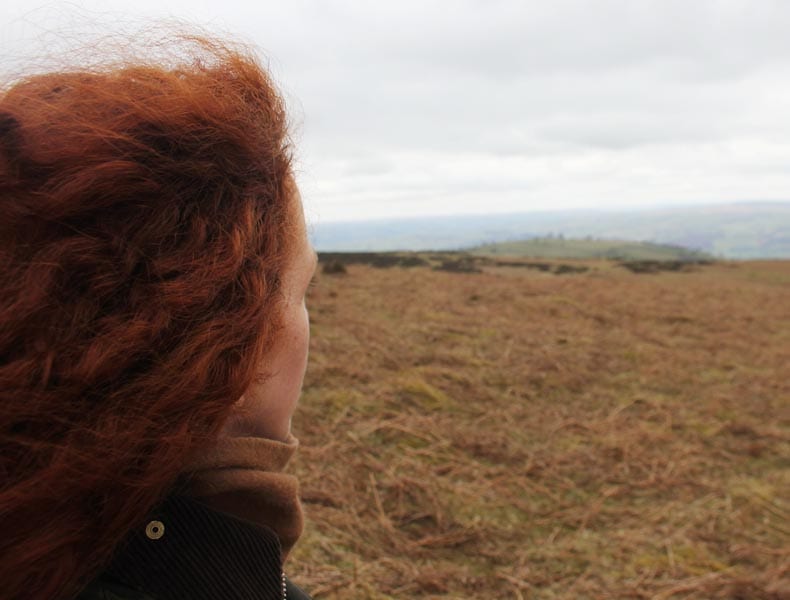 Walking with wild horses- Black Mountains, Wales