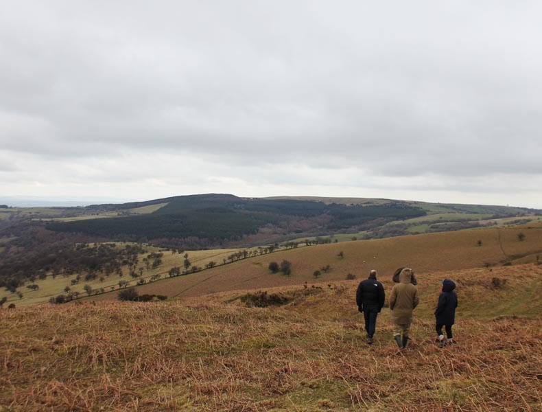 Walking with wild horses- Black Mountains, Wales