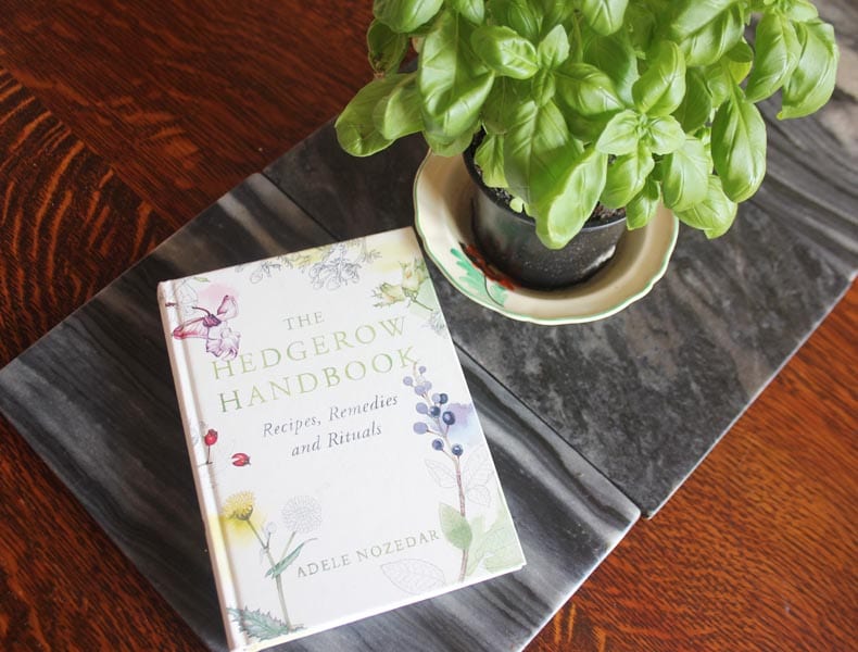 Foraging Book