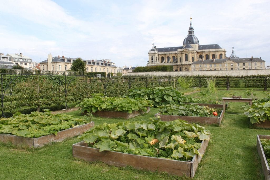 The Potager du Roi 