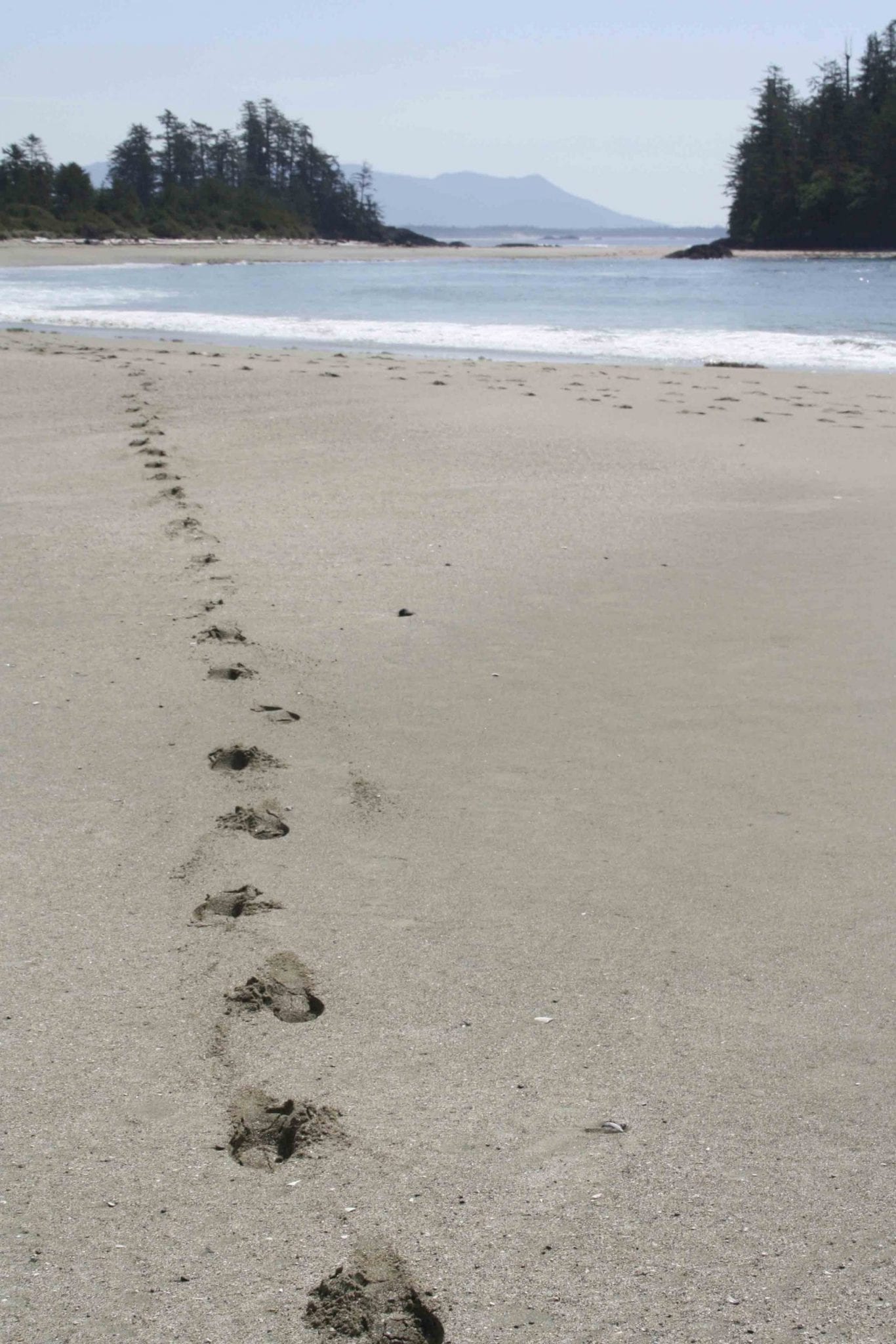 schooner cove tofino canada