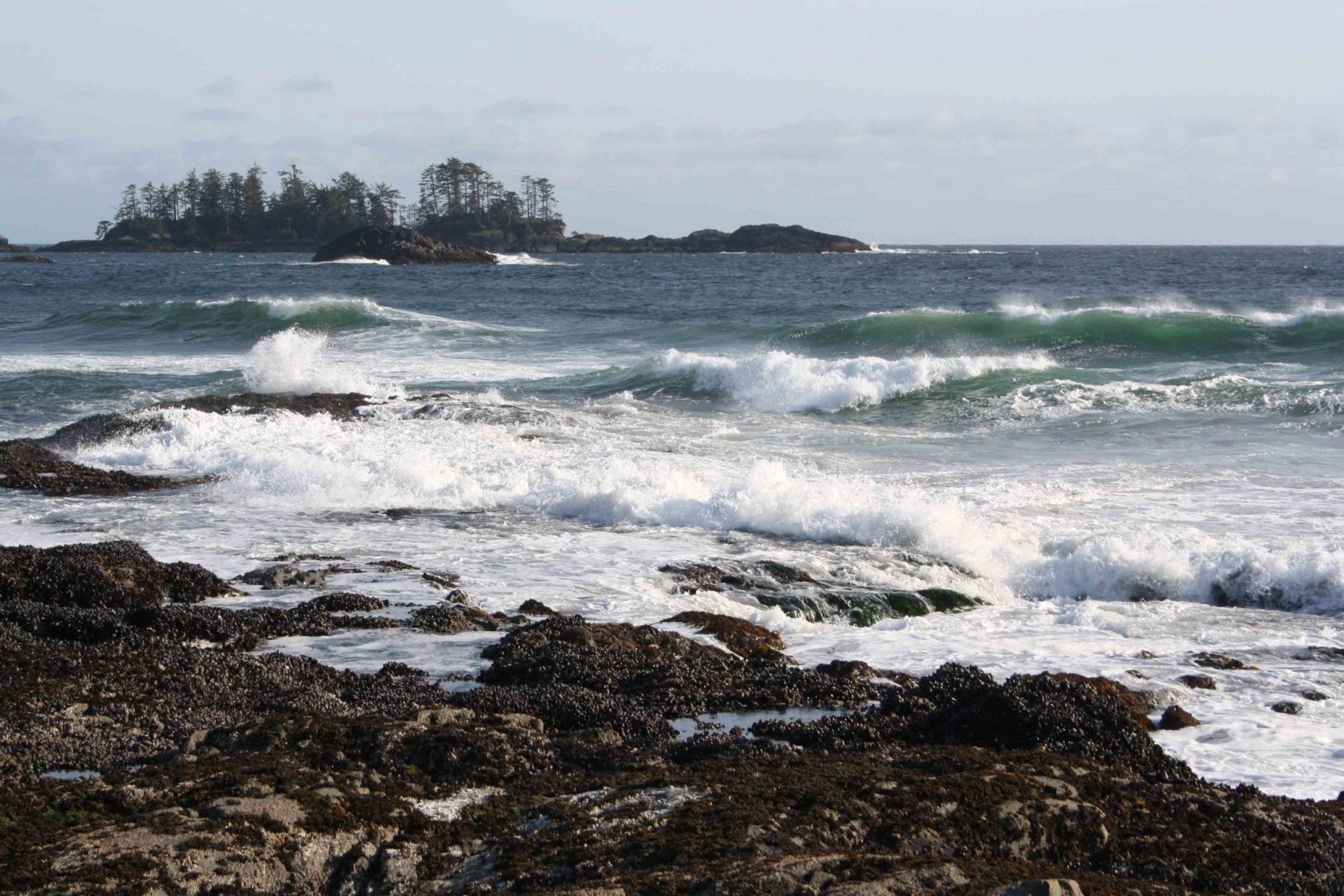 tofino canada