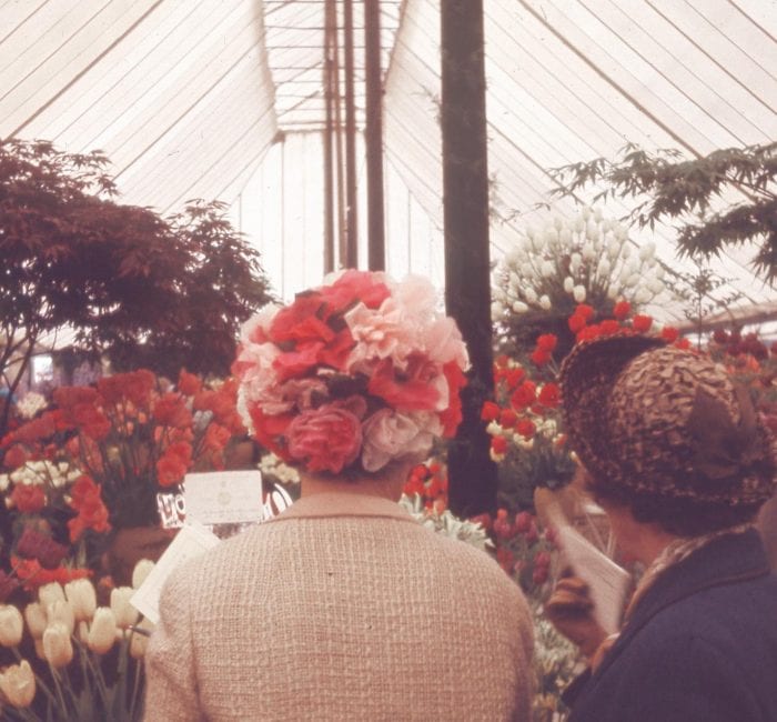 royal chelsea flower show