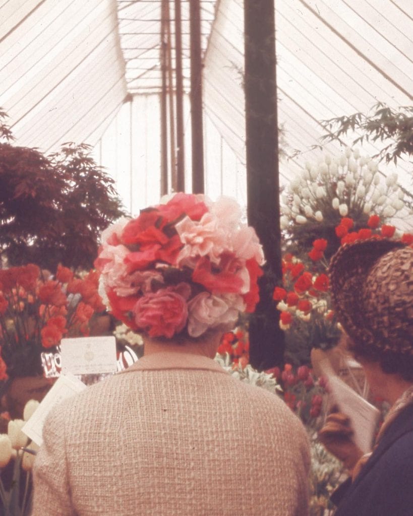 royal chelsea flower show
