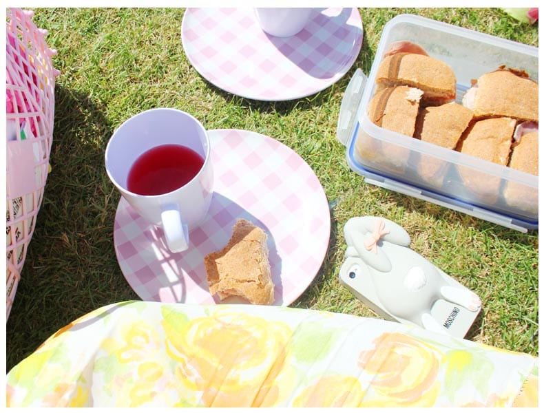 rhs-tattonpark-flowershow-picnic- Good Fronds