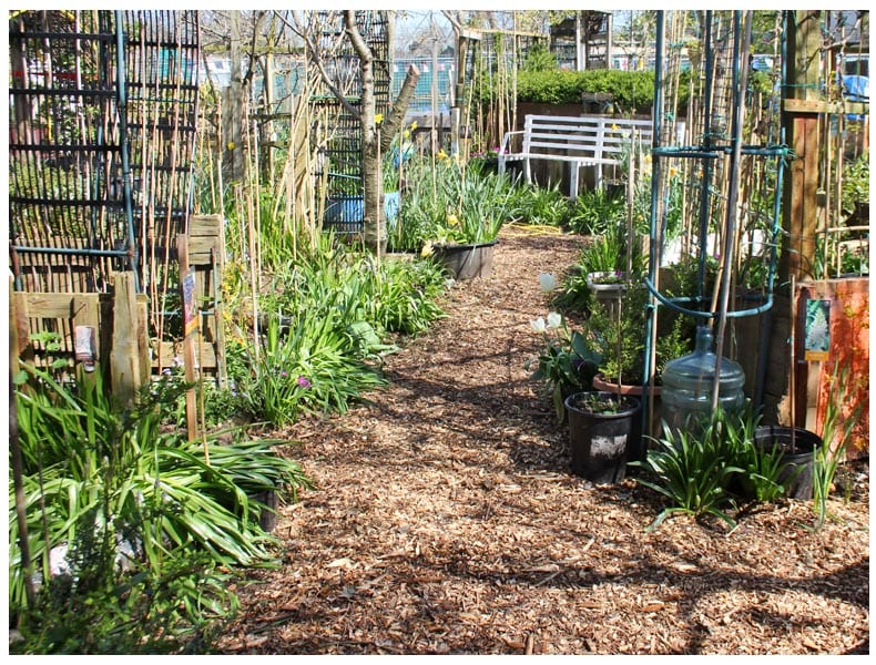 allotment garden