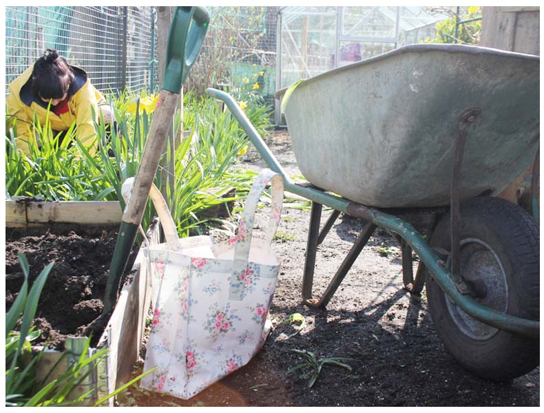 spring allotment