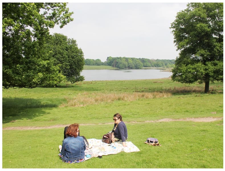 picnic tatton park