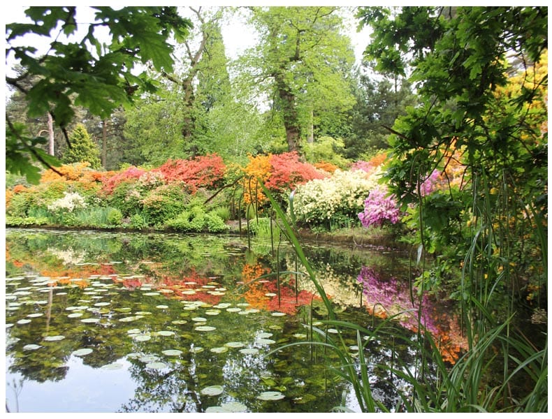 tatton park garden flowers