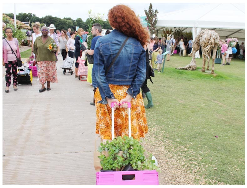 Tatton Park Flower Show Cheshire 2016