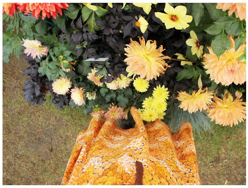 Tatton Park Flower Show blog