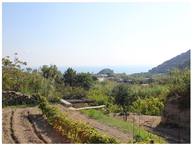 Honeymoon Ischia, Italy- Sorgeto Bay-vineyards