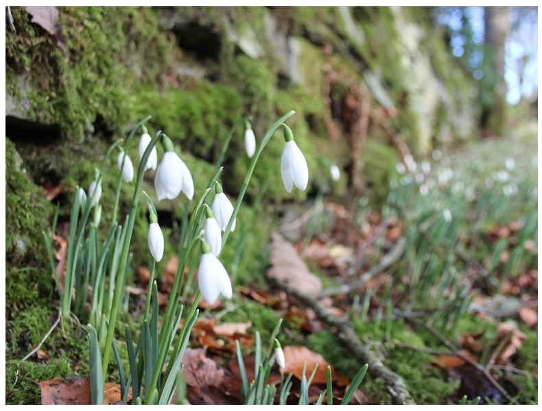 24 Hours in The Lake District: Bowness-on-Windermere, Cumbria