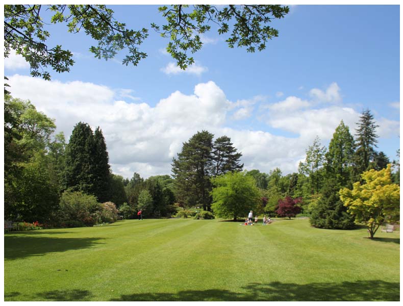 The Great Swiss Picnic- Harrogate, Yorkshire