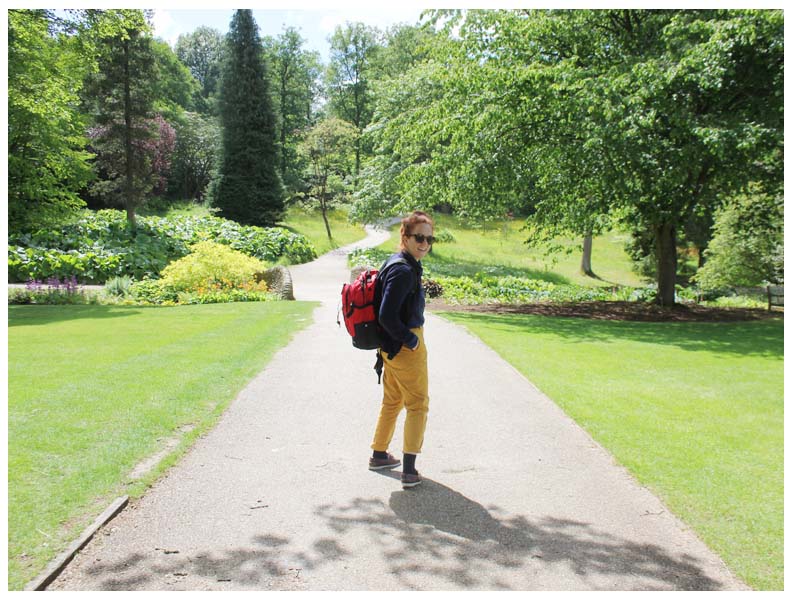 The Great Swiss Picnic- Harrogate, Yorkshire