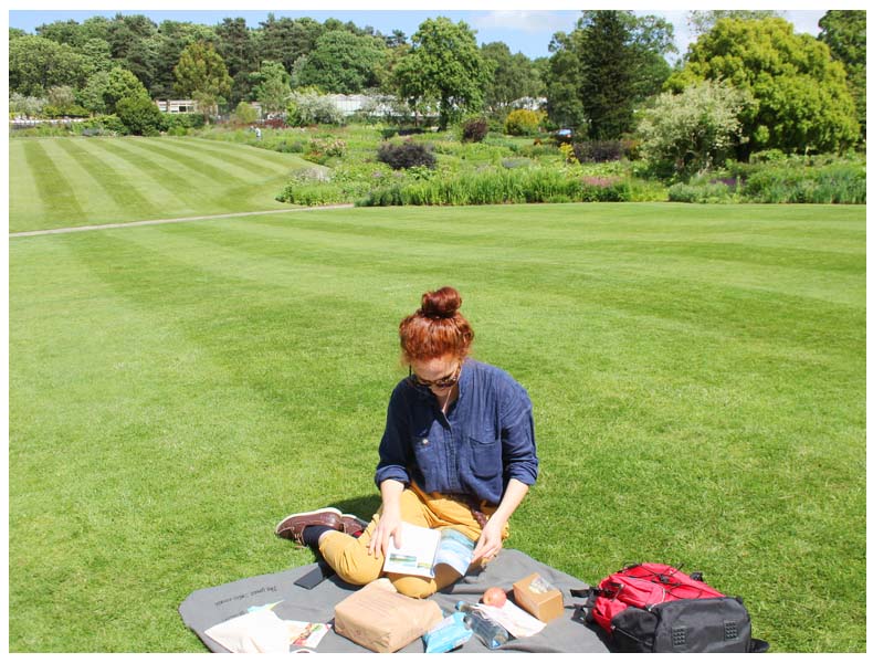 The Great Swiss Picnic- Harrogate, Yorkshire