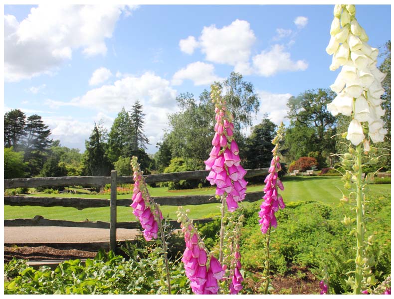 The Great Swiss Picnic- Harrogate, Yorkshire