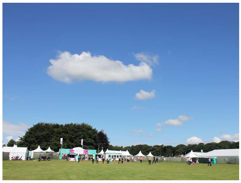 Tatton Park Flower Show 2017