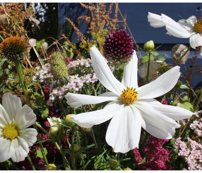 tatton park flower show