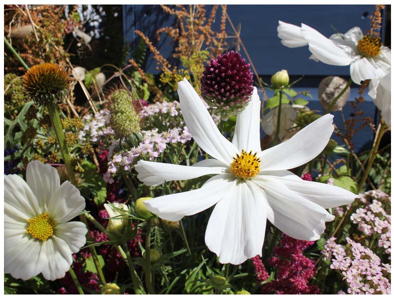 tatton park flower show