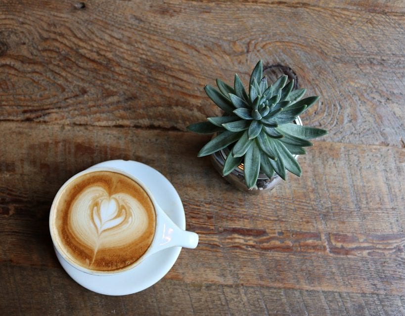 Entrepreneur workspace coffee plant