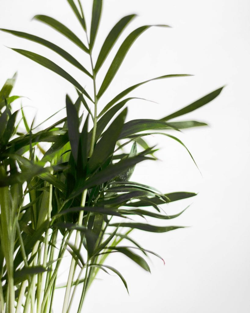 Make Your Business More Eco-Friendly