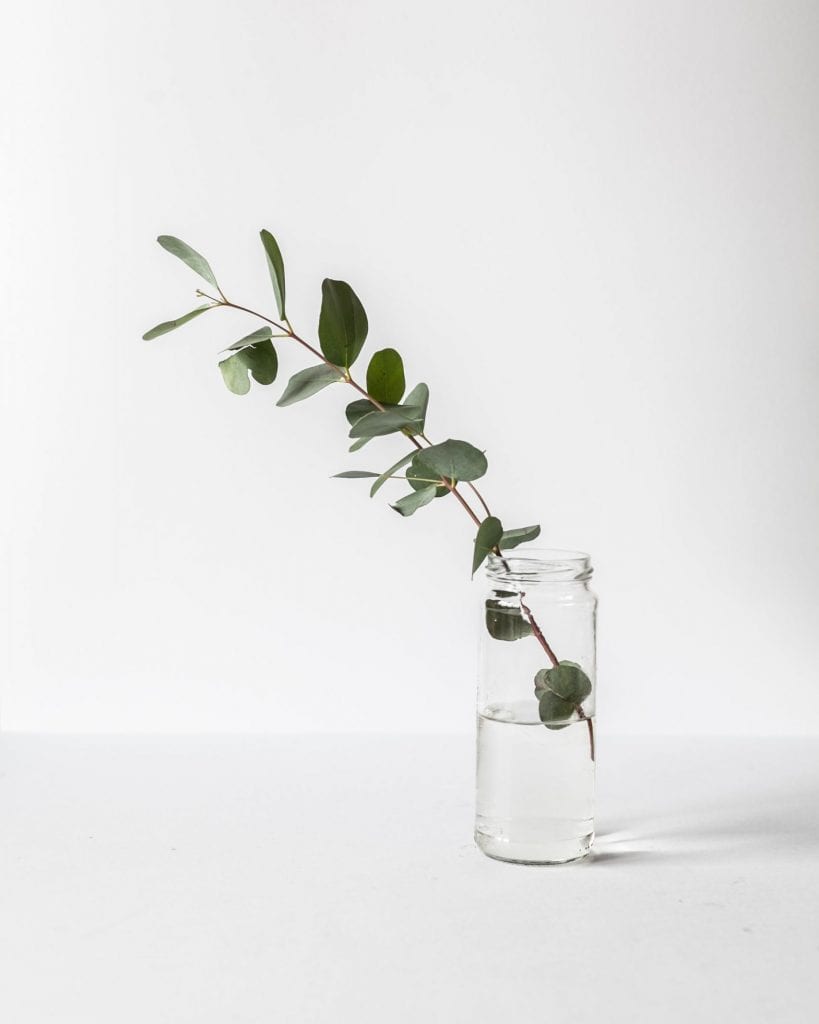 sustainable business- increase sales