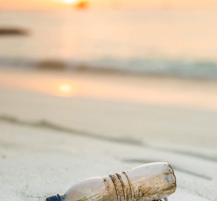 plastic free july 2020