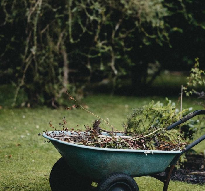How To Compost At Home: A Guide For Beginners