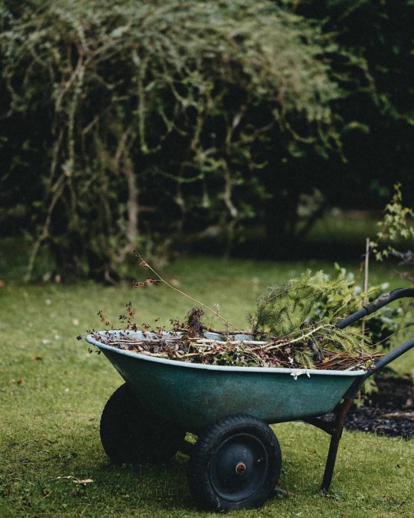 How To Compost At Home: A Guide For Beginners