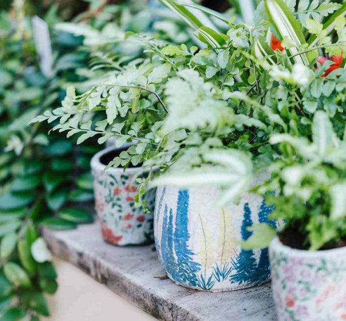 3 Lockdown DIY Projects To Get Your Garden Summer-ready