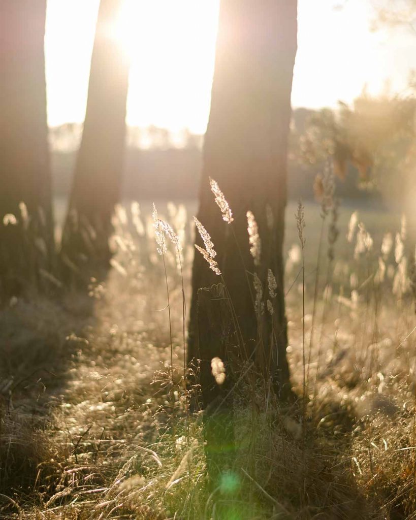 sunlight-solar-power