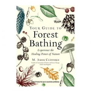Your-Guide-to-Forest-Bathing-GoodFronds-500x500-1