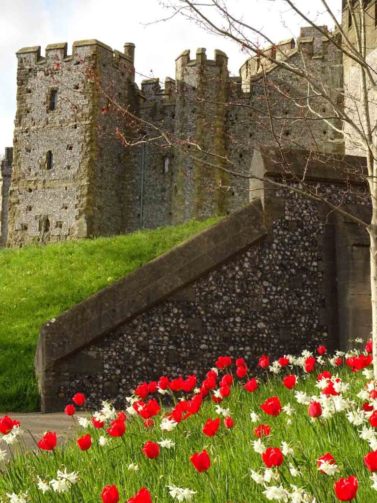 Arundel-Castle-Apeldoorn-Tulips-with-Thalia-Narcissi-in-the-Landscape-©Martin-Duncan