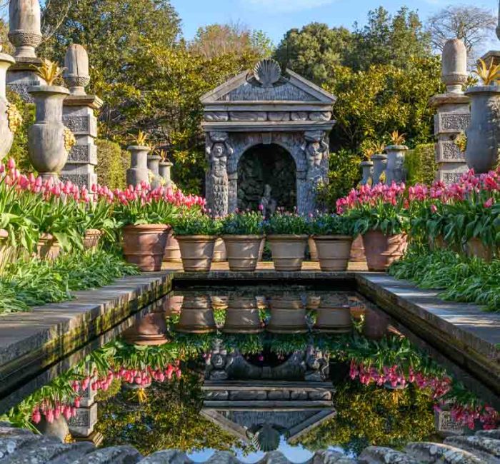 Arundel-Castle-Tulip-Festival-good fronds-1