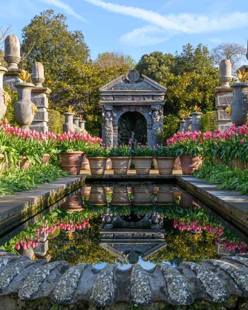 Arundel-Castle-Tulip-Festival-good fronds-1