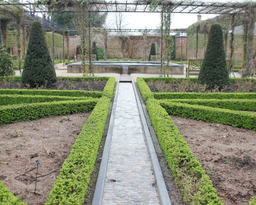 alnwick garden- good fronds