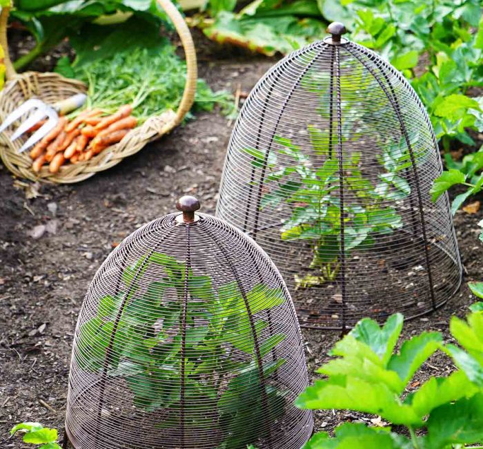 grow-your-own-handmade-accessories-for-your-garden