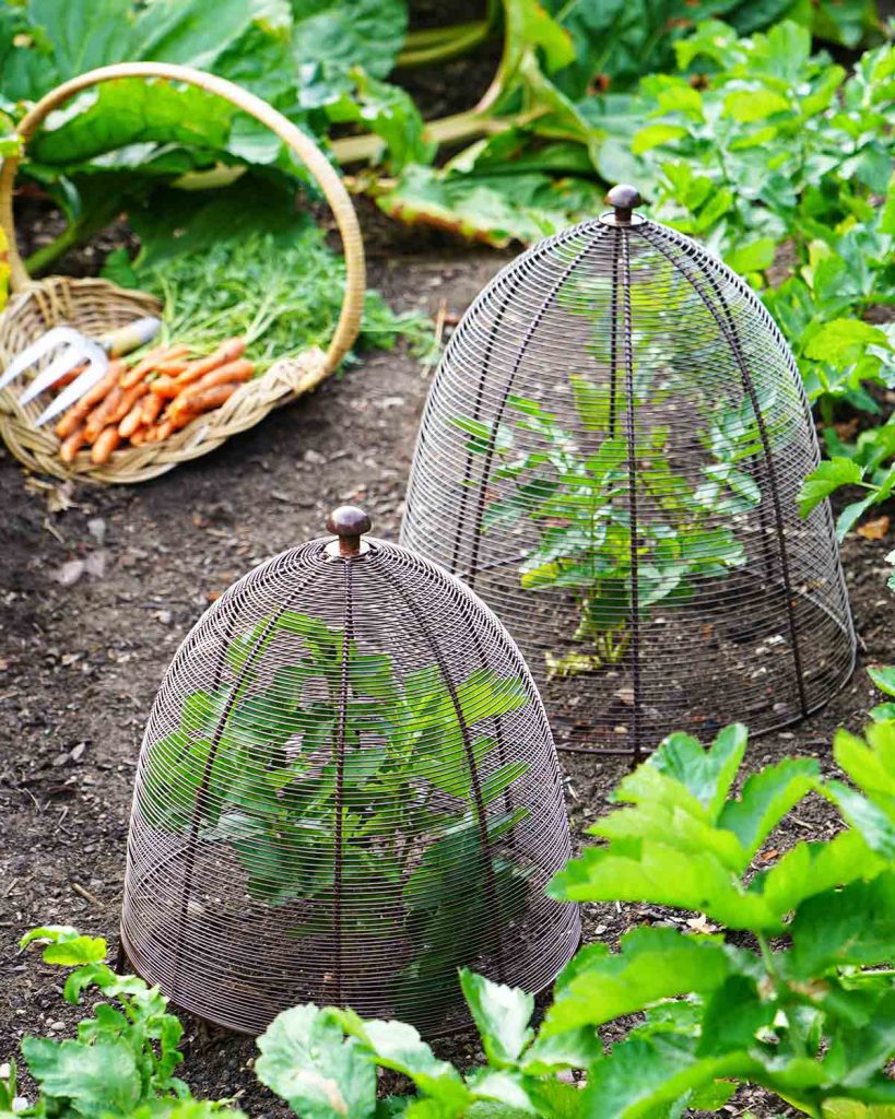 grow-your-own-handmade-accessories-for-your-garden