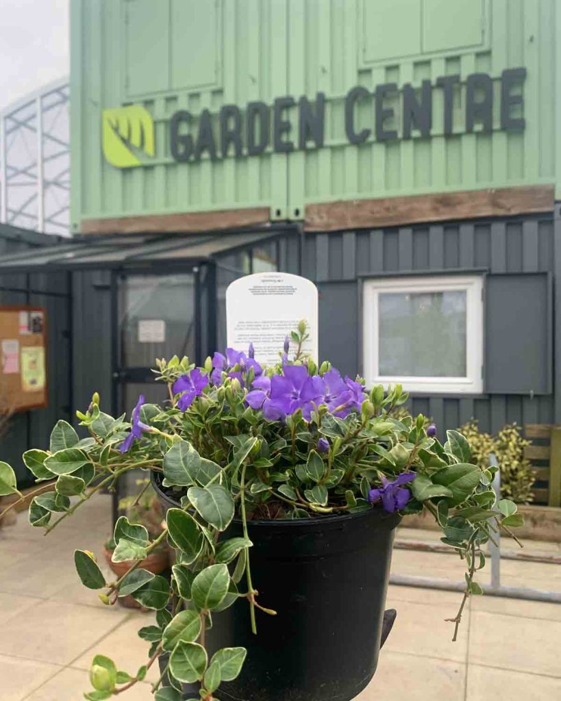 hulme-community-garden-centre--plants--manchester-good-fornds