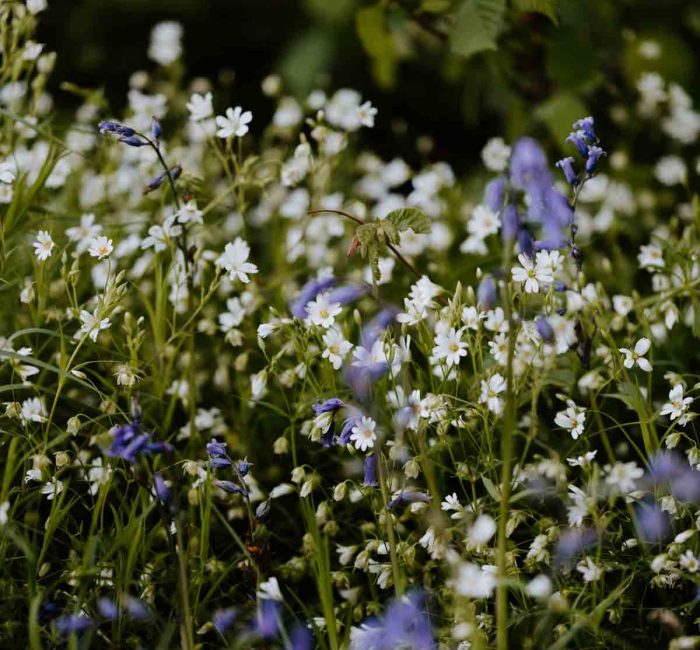 reconnect-with-nature-yoga