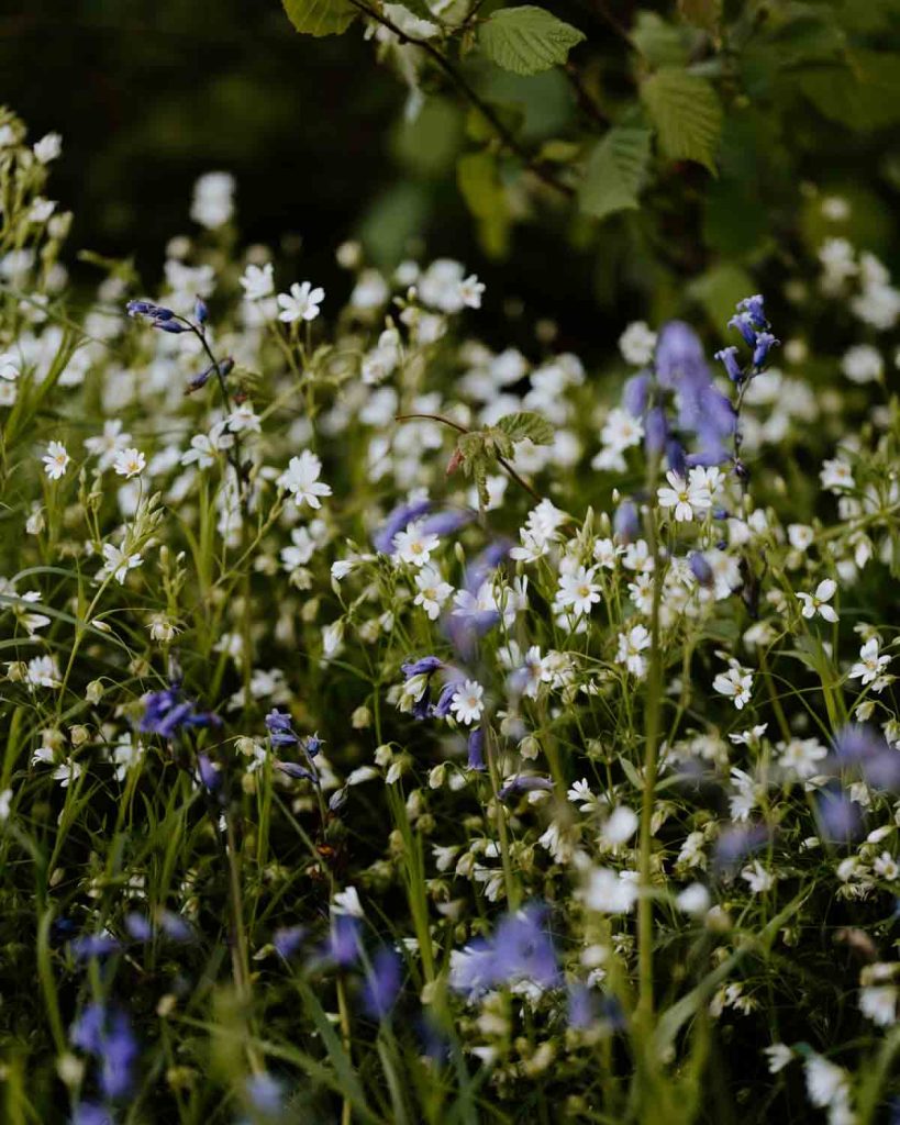 reconnect-with-nature-yoga