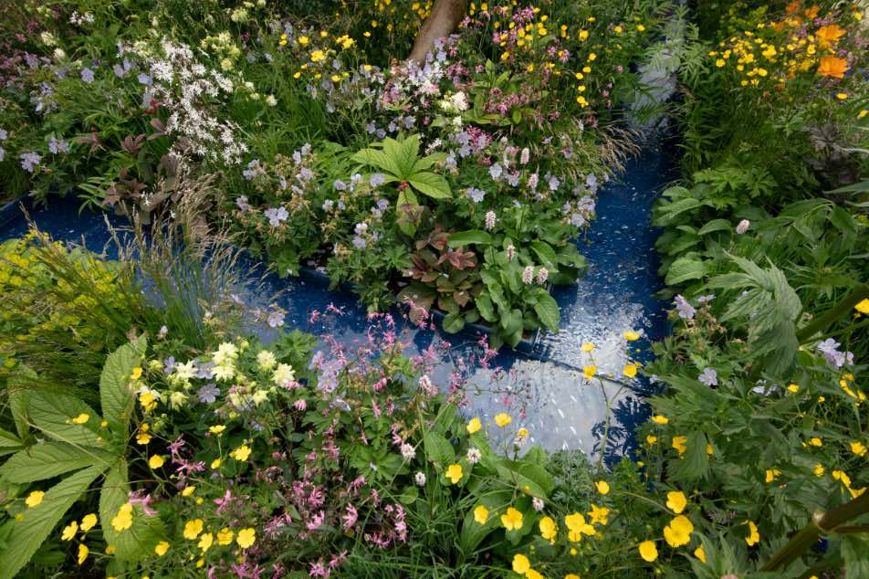 rspca wildlife garden-chelsea flower show 2023