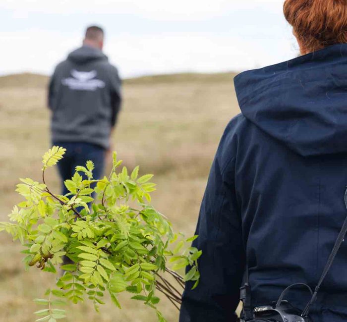 green-jobs-good-fronds