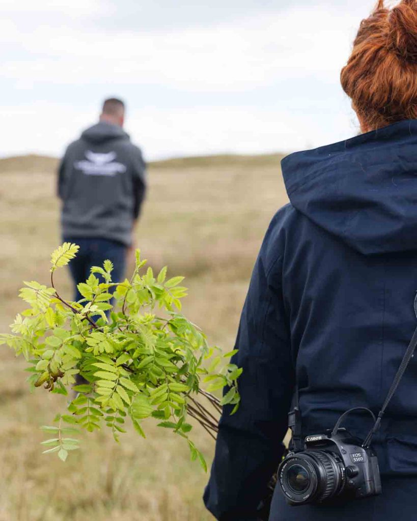 green-jobs-good-fronds