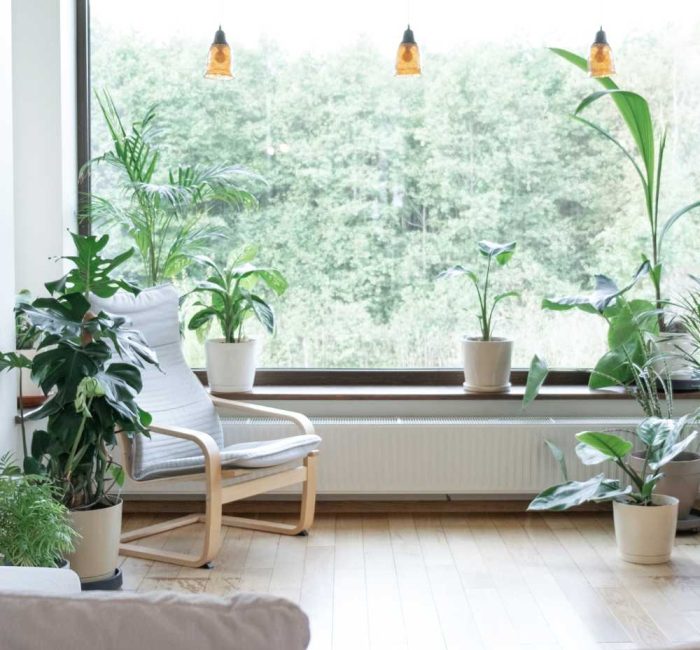 9-Sustainable-Home-Upgrades-To-Make-In-A-Changing-Climate-good-fronds-blog
