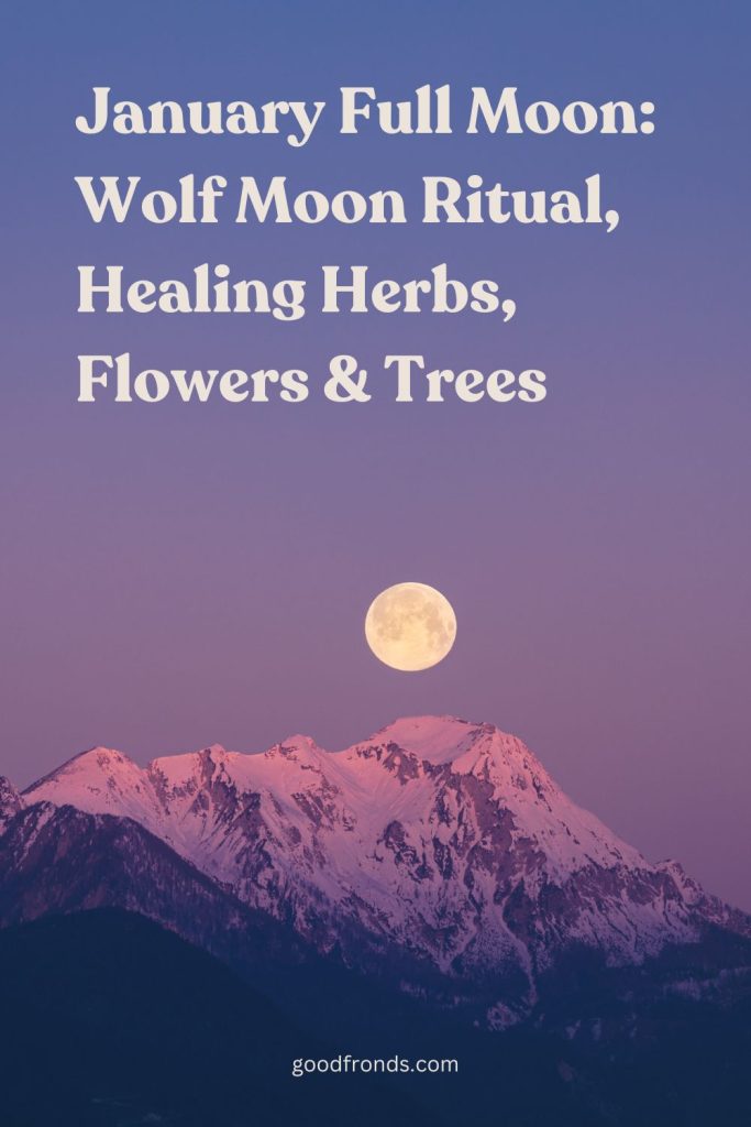 January-Full-Moon-Ritual-Good-Fronds-