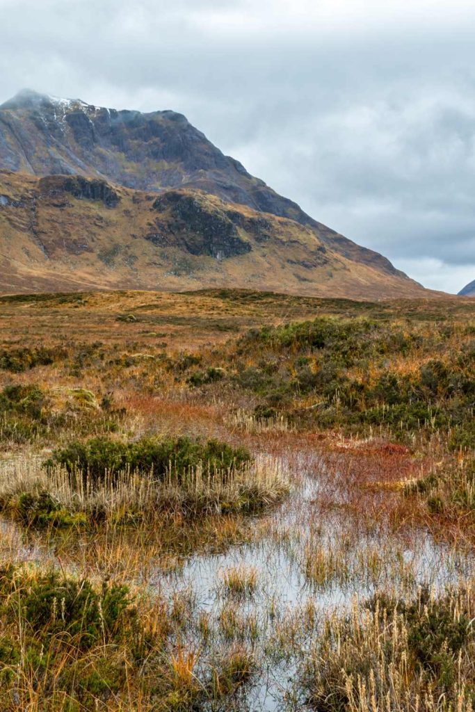 Peat-free compost- gardeneing-sustainable living-Good Fronds Blog